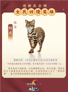 天龙八部私服出现英文